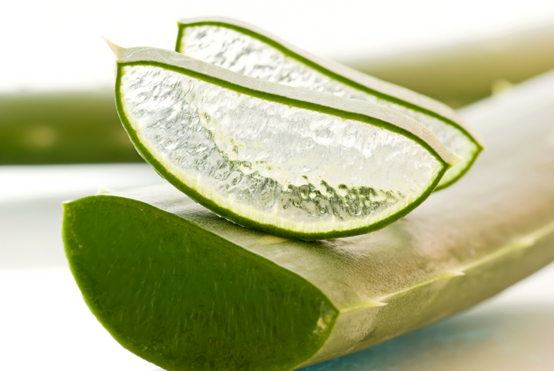 aloevera