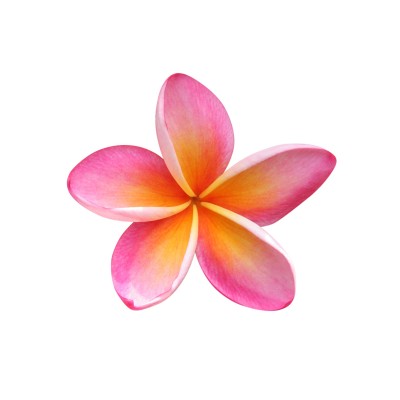 liliw